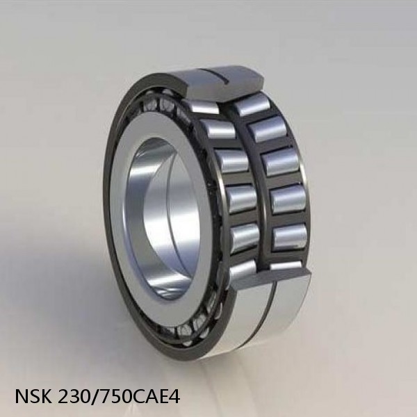 230/750CAE4 NSK Spherical Roller Bearing