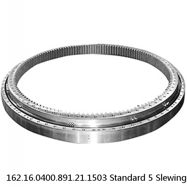 162.16.0400.891.21.1503 Standard 5 Slewing Ring Bearings