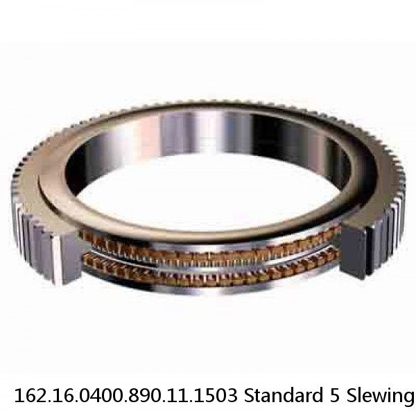 162.16.0400.890.11.1503 Standard 5 Slewing Ring Bearings