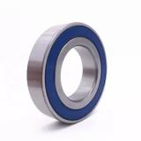 340 mm x 520 mm x 133 mm  INA NN3068-AS-K-M-SP cylindrical roller bearings